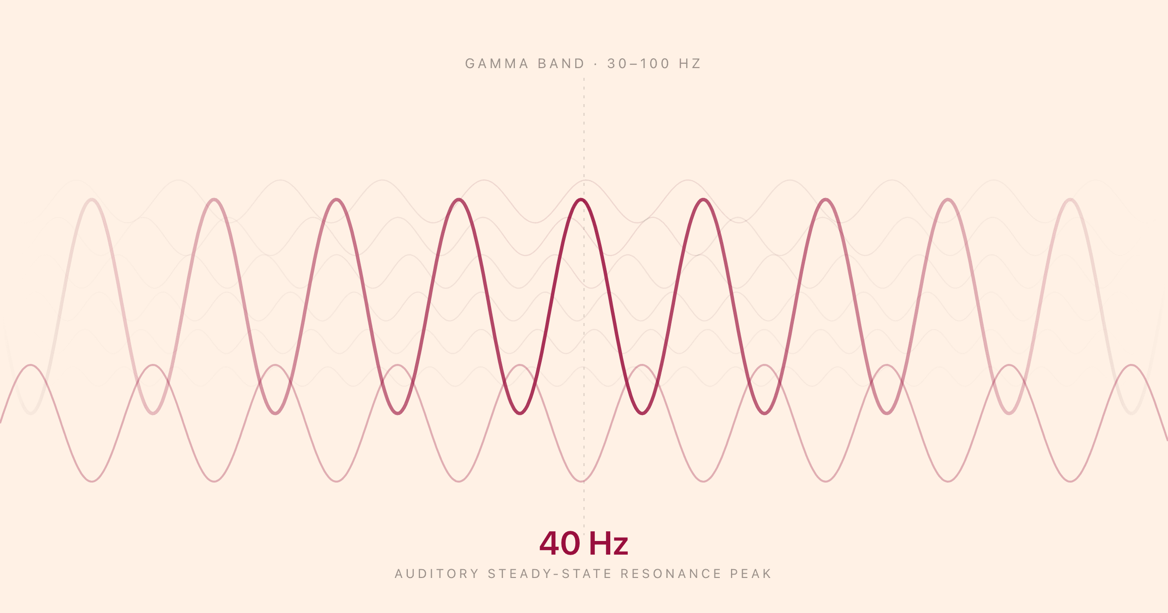 A pure 40 Hz sine wave sitting inside the gamma band (30 to 100 Hz), marked as the auditory steady-state resonance peak