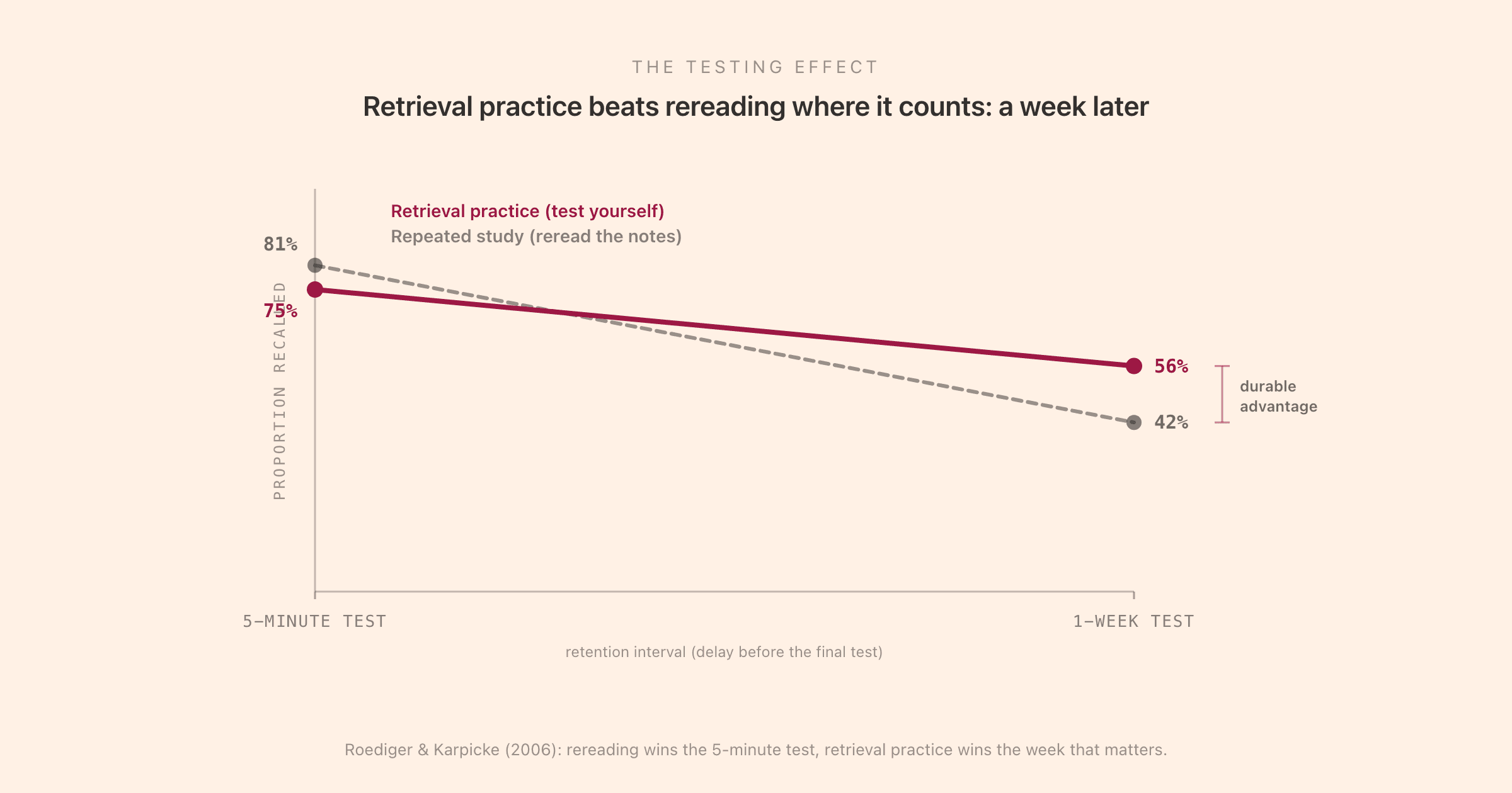 The testing effect from Roediger & Karpicke (2006): a two-line chart over a retention interval from a 5-minute test to a 1-week test, showing repeated study (rereading) starting higher at 81 percent on the immediate test but collapsing to 42 percent after a week, while retrieval practice (testing yourself) starts slightly lower at 75 percent but retains 56 percent after a week, with the durable advantage bracketed at the 1-week point