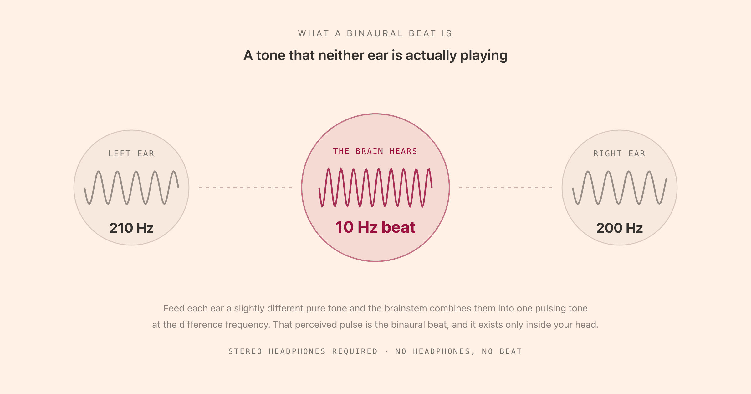 A diagram of a binaural beat: 210 Hz played into the left ear and 200 Hz into the right ear, with the brain in the centre perceiving a single 10 Hz pulsing beat that neither ear is actually producing, labelled stereo headphones required