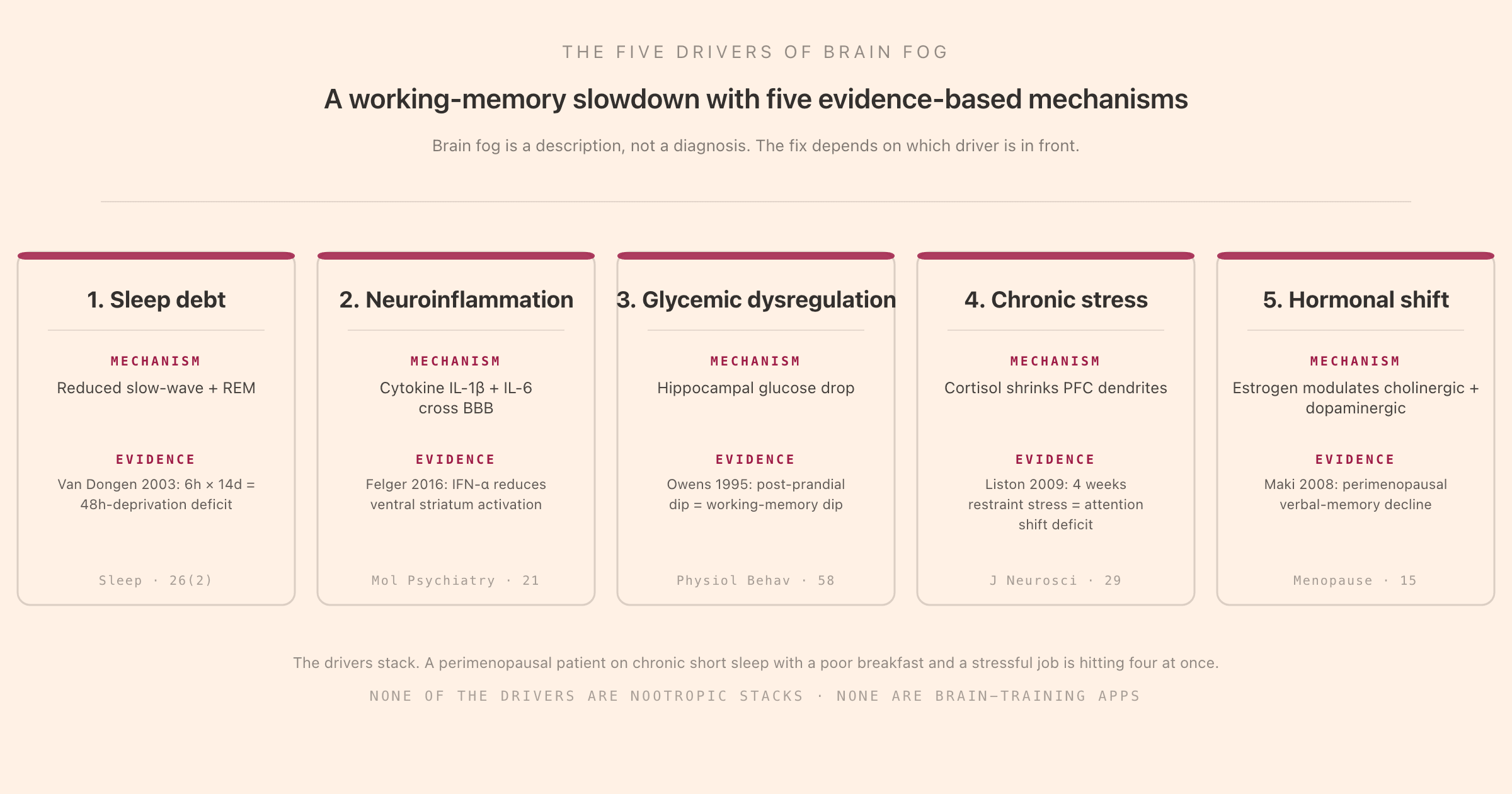 The five drivers of brain fog: sleep debt (reduced slow-wave and REM, Van Dongen 2003 showing that six hours per night for fourteen days produces a deficit equivalent to forty-eight hours of total deprivation), neuroinflammation (cytokines IL-1 beta and IL-6 cross the blood-brain barrier, Felger 2016 showing interferon-alpha reduces ventral striatum activation), glycemic dysregulation (hippocampal glucose drop, Owens 1995 showing post-prandial dips produce working-memory dips), chronic stress (cortisol shrinks PFC dendrites, Liston 2009 showing four weeks of restraint stress produces attention shift deficits), and hormonal shift (estrogen modulates cholinergic and dopaminergic systems, Maki 2008 showing perimenopausal verbal memory decline), with a footer noting the drivers stack and that none of the drivers are nootropic stacks or brain-training apps