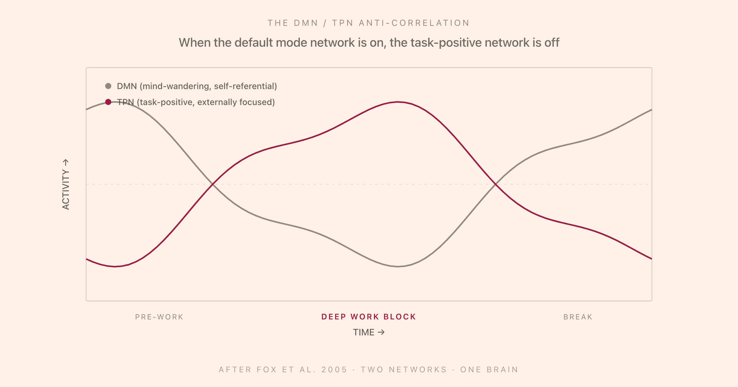 Two anti-correlated activity curves over a deep work session: the DMN starts high during pre-work mind-wandering, drops as the task-positive network engages during the deep work block, and rises again during the break, illustrating the toggle between mind-wandering and focused attention