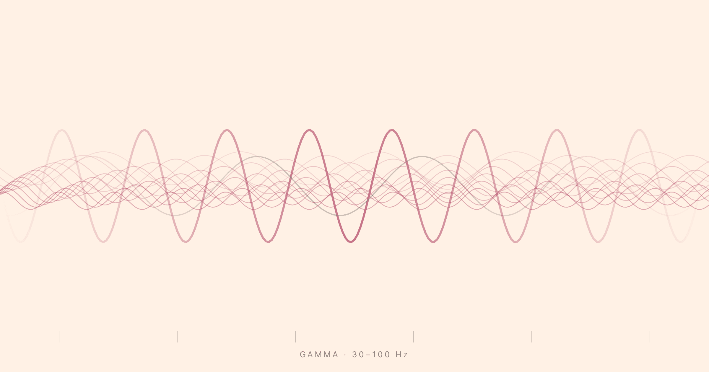Layered 30–100 Hz gamma waveforms representing peak cognitive performance.