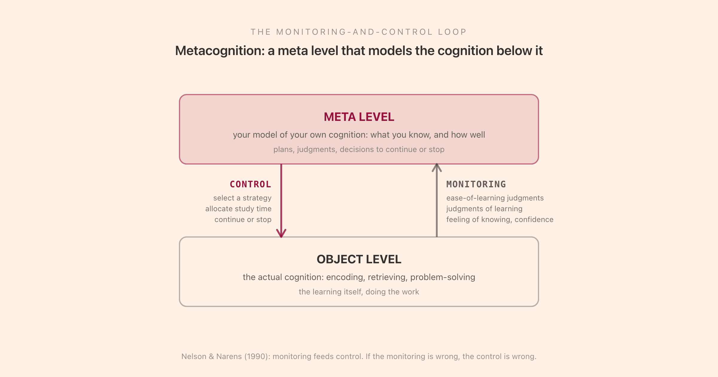The Nelson and Narens (1990) metacognition framework: two stacked levels, a meta level holding your model of your own cognition above an object level holding the actual learning, connected by two arrows. Monitoring flows upward from the object level to the meta level (ease-of-learning judgments, judgments of learning, feeling of knowing, confidence), and control flows downward from the meta level to the object level (selecting a strategy, allocating study time, deciding whether to continue or stop), forming the loop that governs self-regulated learning