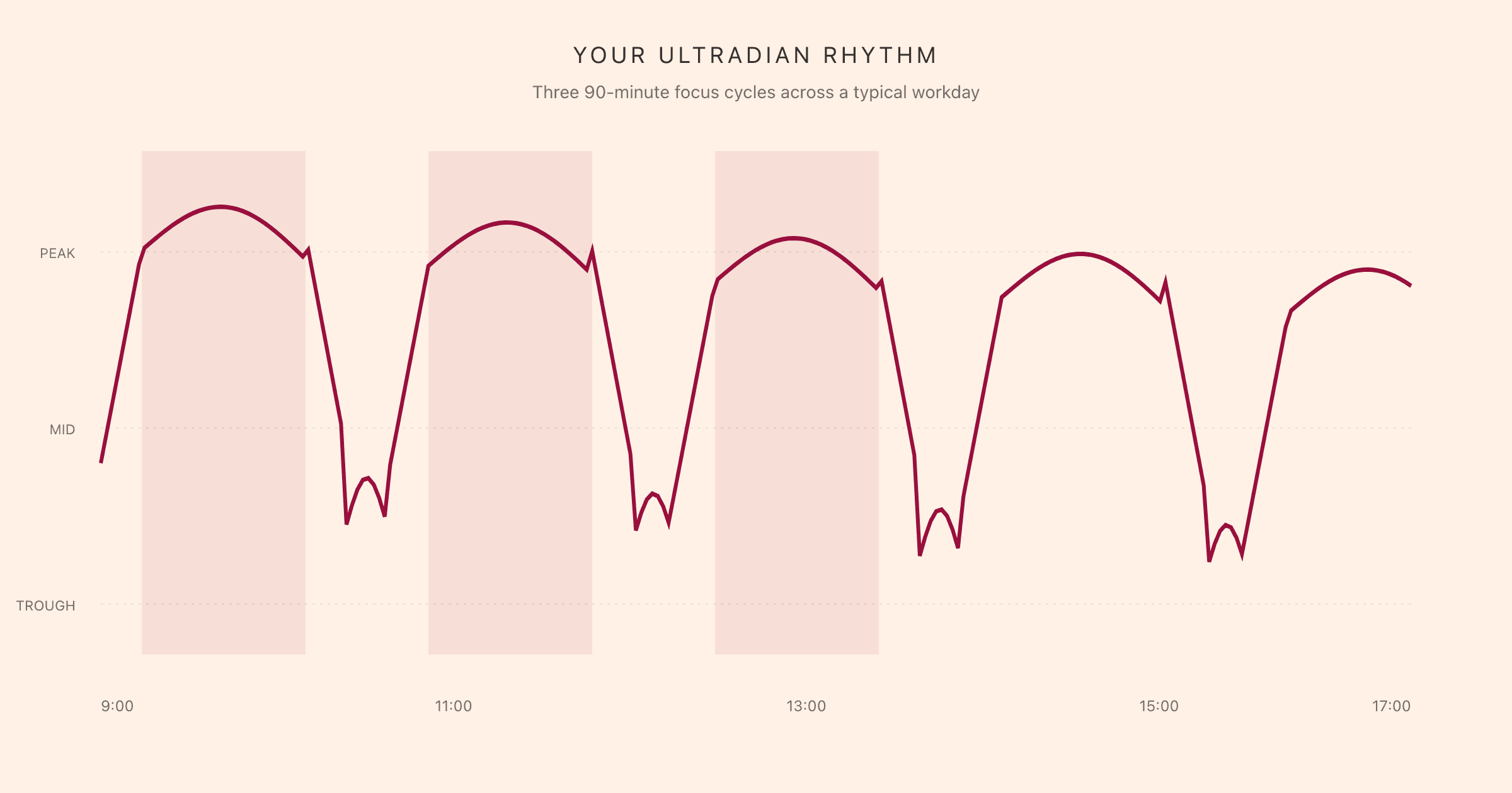 A curve showing focus rising and falling in 90-minute ultradian cycles through the workday