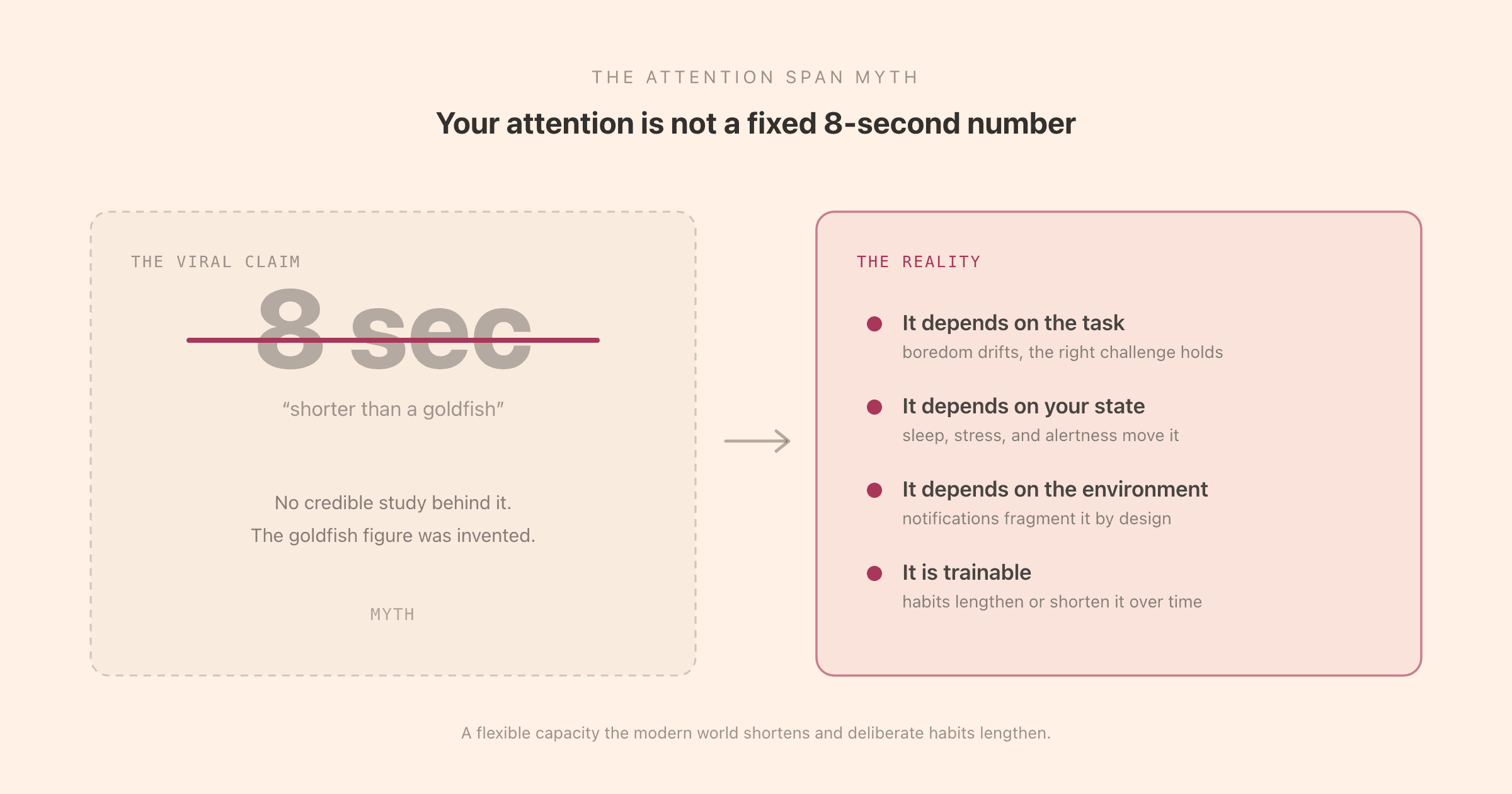 The goldfish attention span myth debunked: the viral claim of an 8-second human attention span has no credible source, while real attention depends on task, interest, and environment