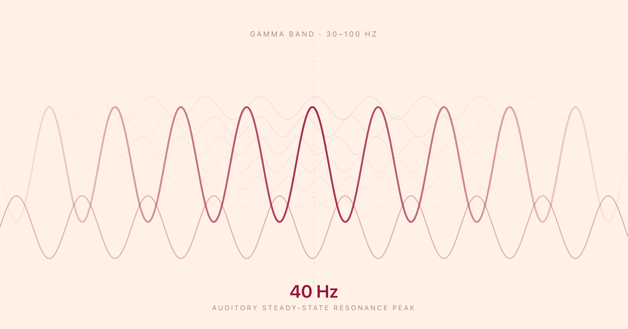 A 40 Hz sine wave sitting inside the wider gamma band, labelled as the auditory steady-state resonance peak