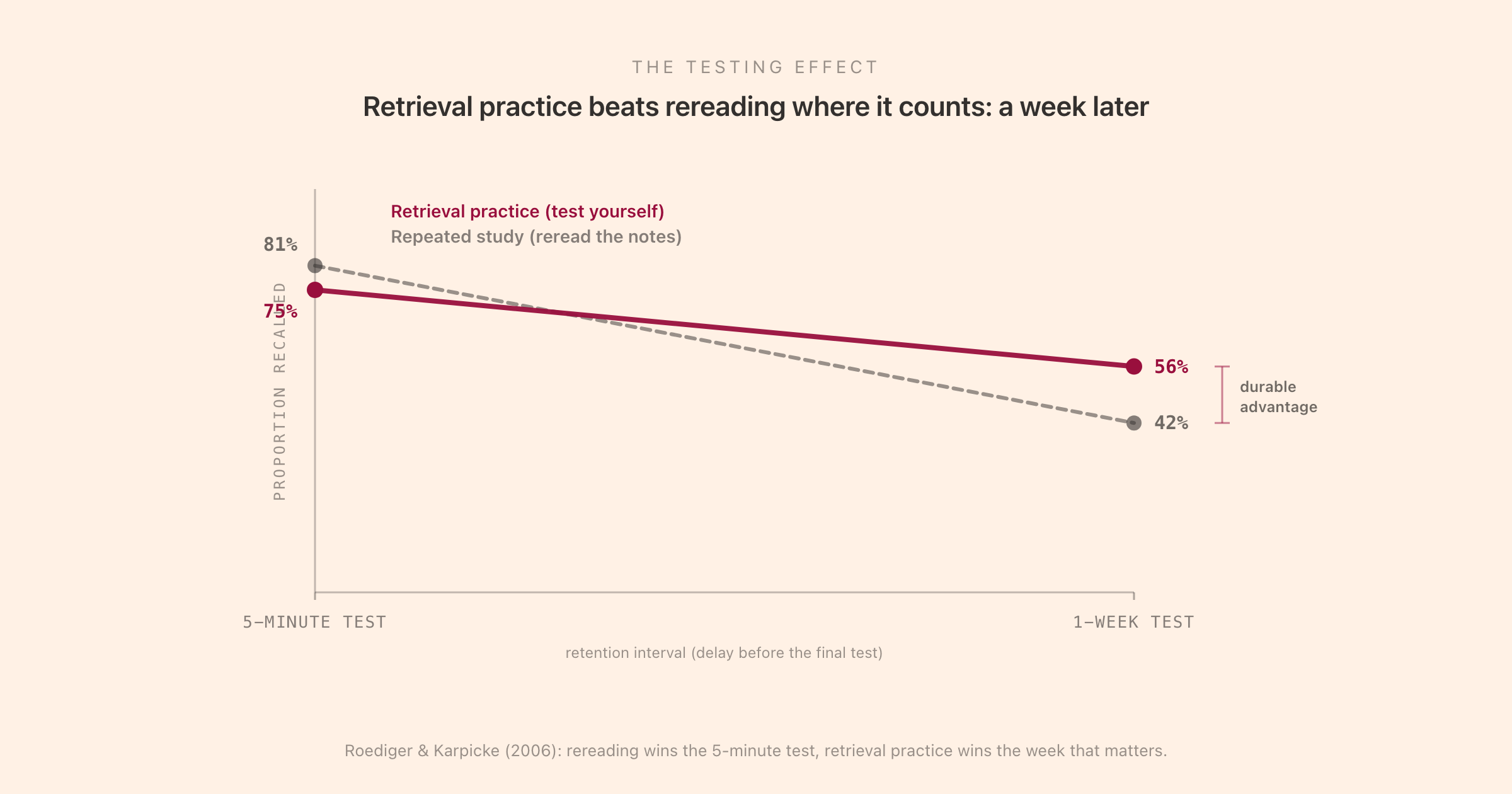 The testing effect from Roediger and Karpicke 2006: rereading wins the 5-minute test but retrieval practice retains far more after a week