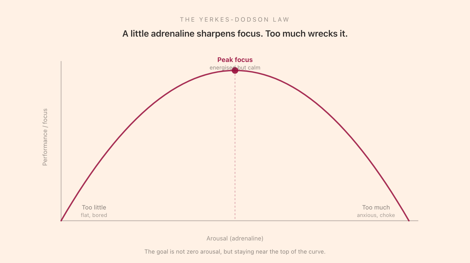 The Yerkes-Dodson curve: performance rises with arousal up to an optimal peak, then falls as too much arousal tips into anxiety, so focus is best at a moderate, energised-but-calm level