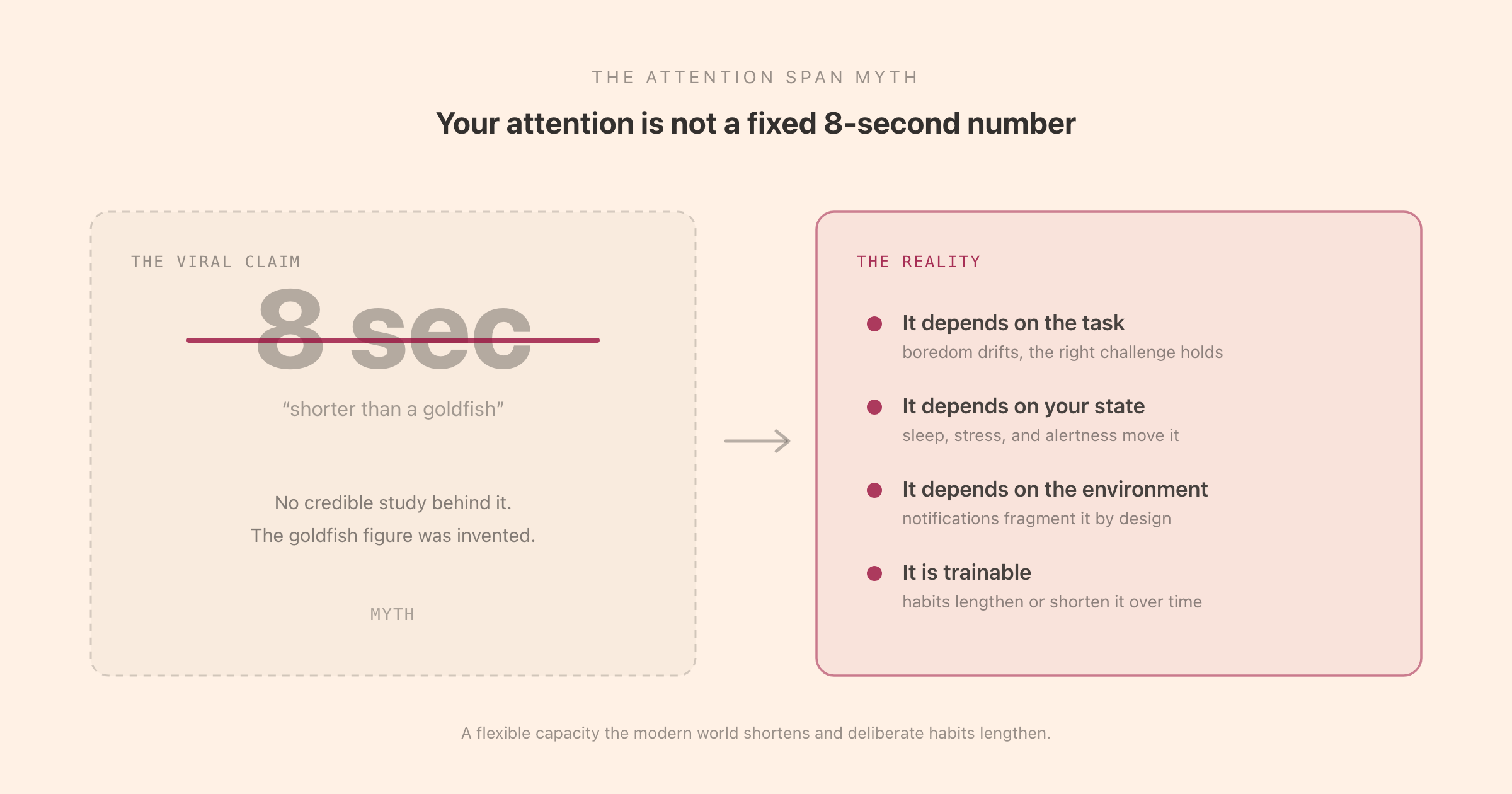 The goldfish attention span myth debunked: the viral 8-second claim has no credible source, while real attention depends on task, interest, and environment