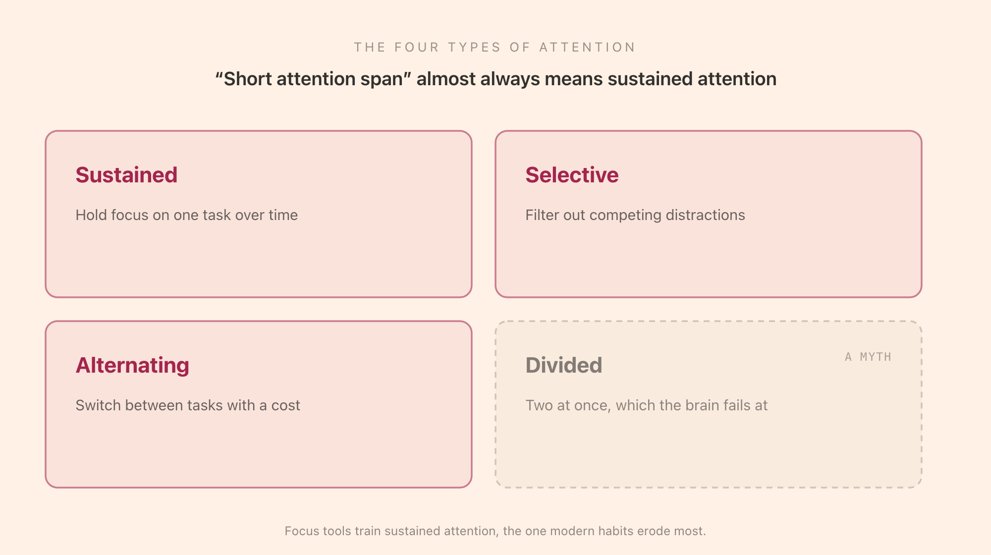 Four types of attention explained: sustained attention holds focus on one task over time, selective attention filters out distractions, alternating attention switches between tasks, and divided attention attempts two at once and fails