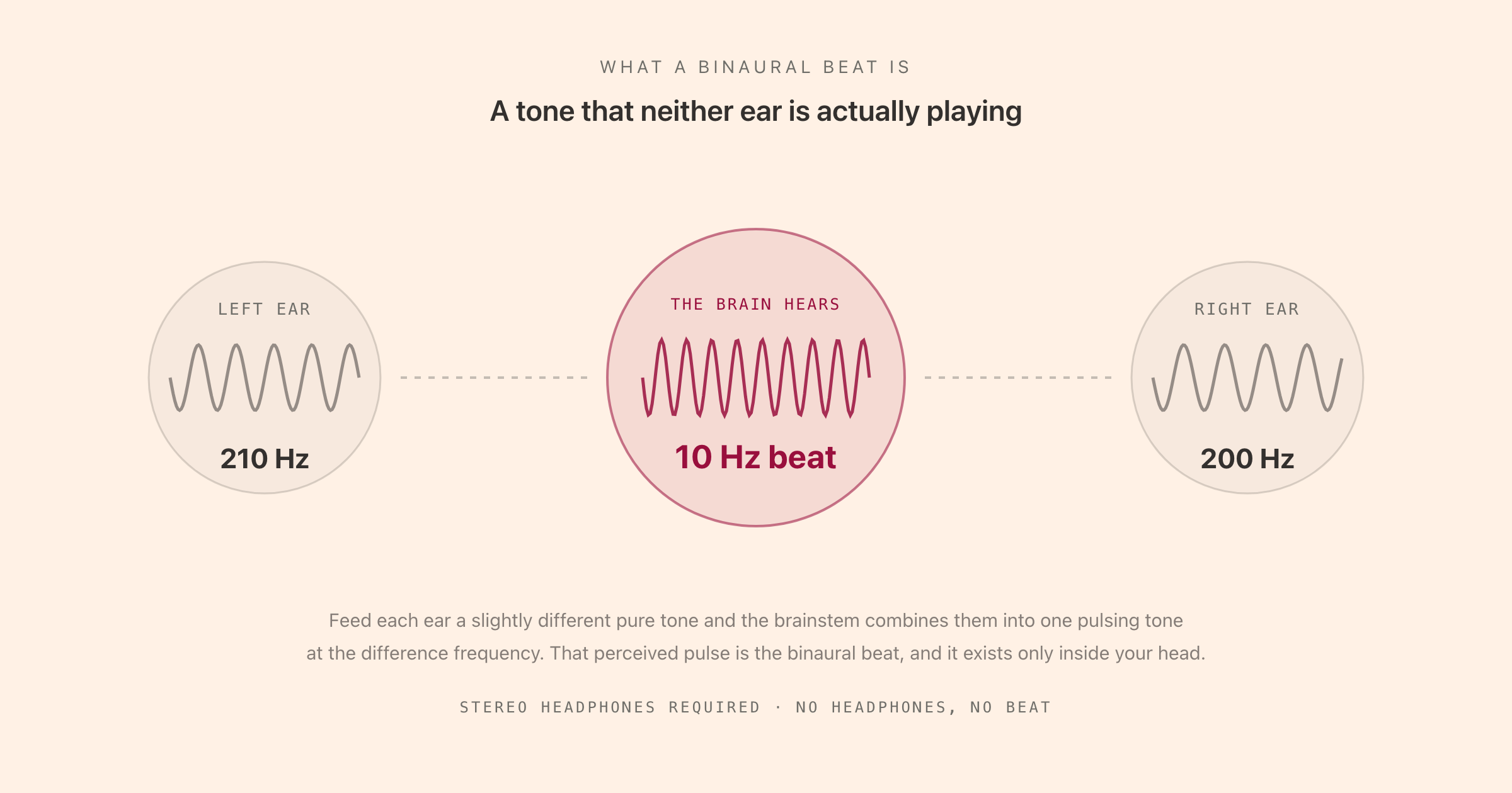 A diagram showing 210 Hz played into the left ear and 200 Hz into the right ear, with the brain in the centre perceiving a single 10 Hz pulsing beat that neither ear is actually producing.