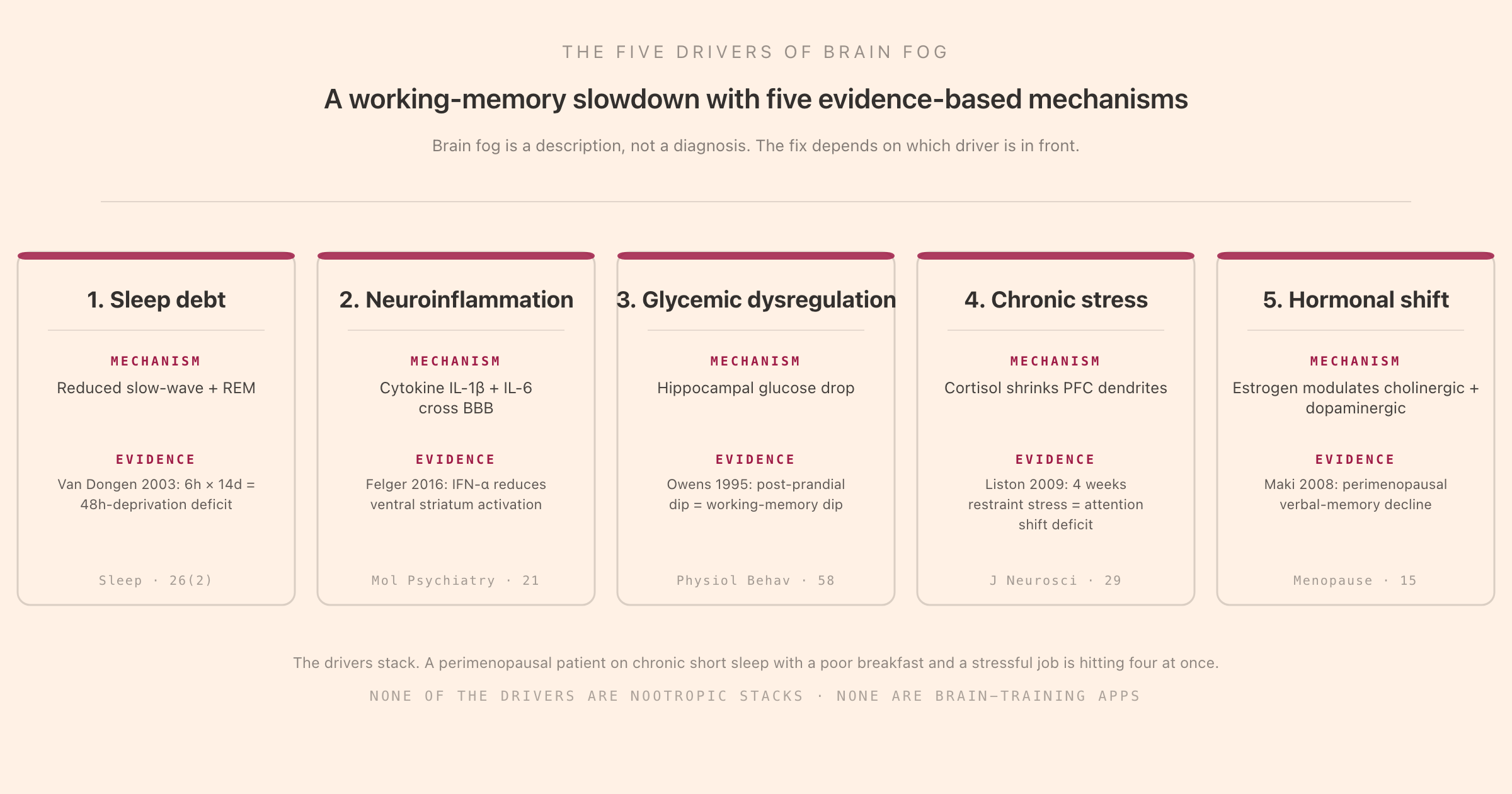 The five drivers of brain fog: sleep debt, neuroinflammation, glycemic dysregulation, chronic stress, and hormonal shift, with the canonical research citation for each