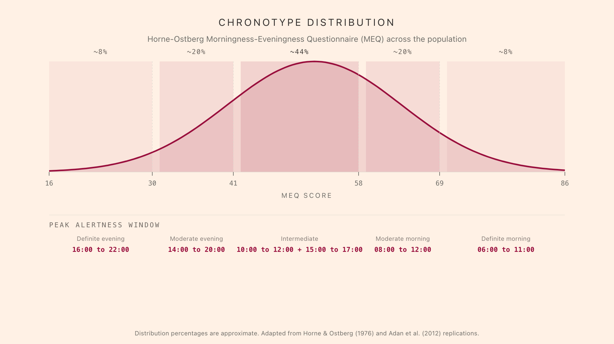 Chronotype distribution: the Horne-Ostberg MEQ score across the population shown as a bell curve centered around an intermediate score of 52, with five bands marking definite evening (~8%), moderate evening (~20%), intermediate (~44%), moderate morning (~20%), and definite morning (~8%); below the curve a table maps each chronotype to its peak alertness window, from 16:00 to 22:00 for definite evening through 06:00 to 11:00 for definite morning