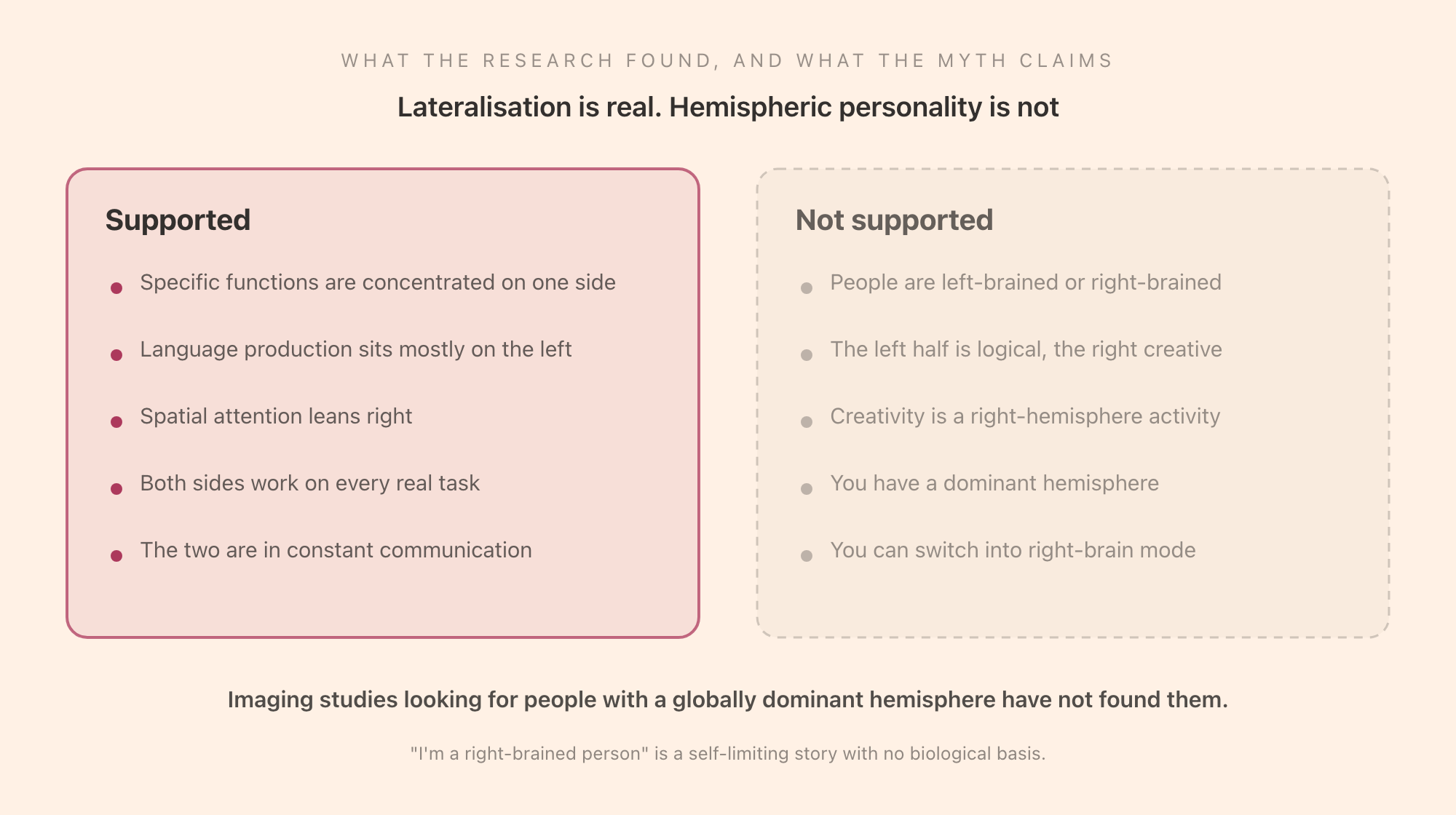 What the split-brain research found against what the popular story claims: real regional specialisation with constant integration on one side, and a fictional personality split with dominant hemispheres on the other