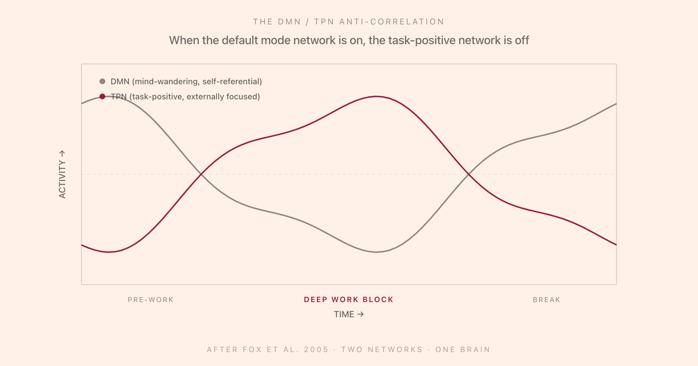 Two anti-correlated activity curves across a deep work session: DMN high during pre-work and break, low during the deep work block, with TPN exactly inverted, illustrating the toggle dynamic that determines whether attention is focused or wandering