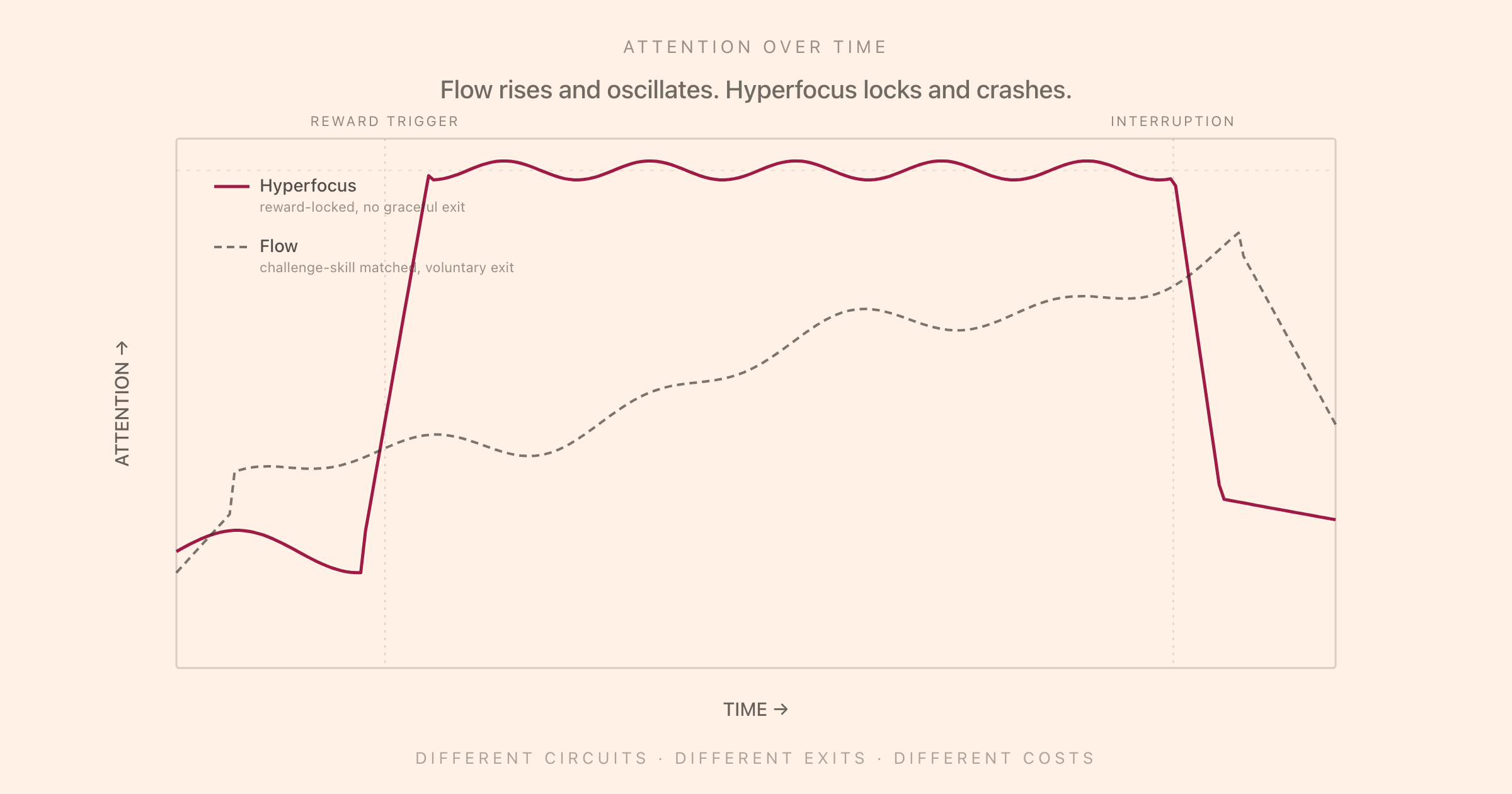 Two attention-over-time curves: hyperfocus locks at near-maximum on a reward trigger and crashes vertically at interruption; flow rises and oscillates around a challenge-skill match and exits voluntarily