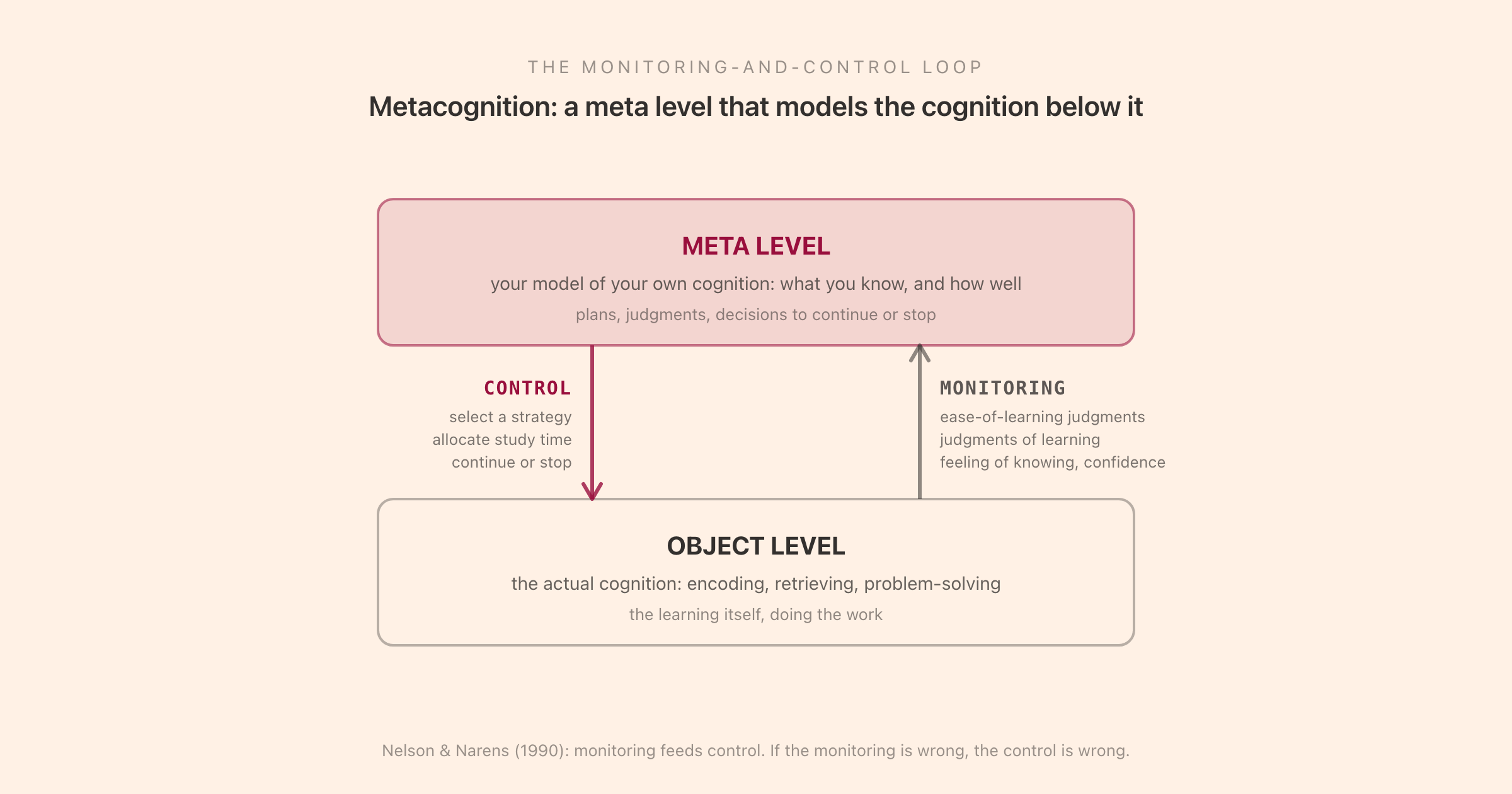 The Nelson and Narens (1990) monitoring-and-control loop: a meta level modelling cognition above an object level doing it, linked by upward monitoring and downward control
