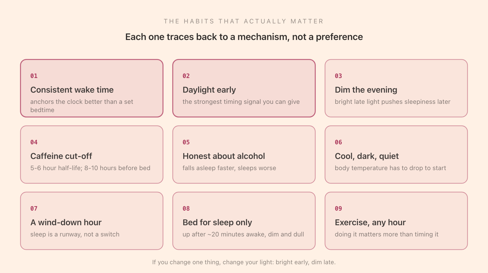 The core sleep hygiene habits shown as a grid: a consistent wake time, morning daylight, a caffeine cut-off, dim evening light, a cool dark quiet room, a wind-down hour, keeping the bed for sleep, and honest handling of alcohol