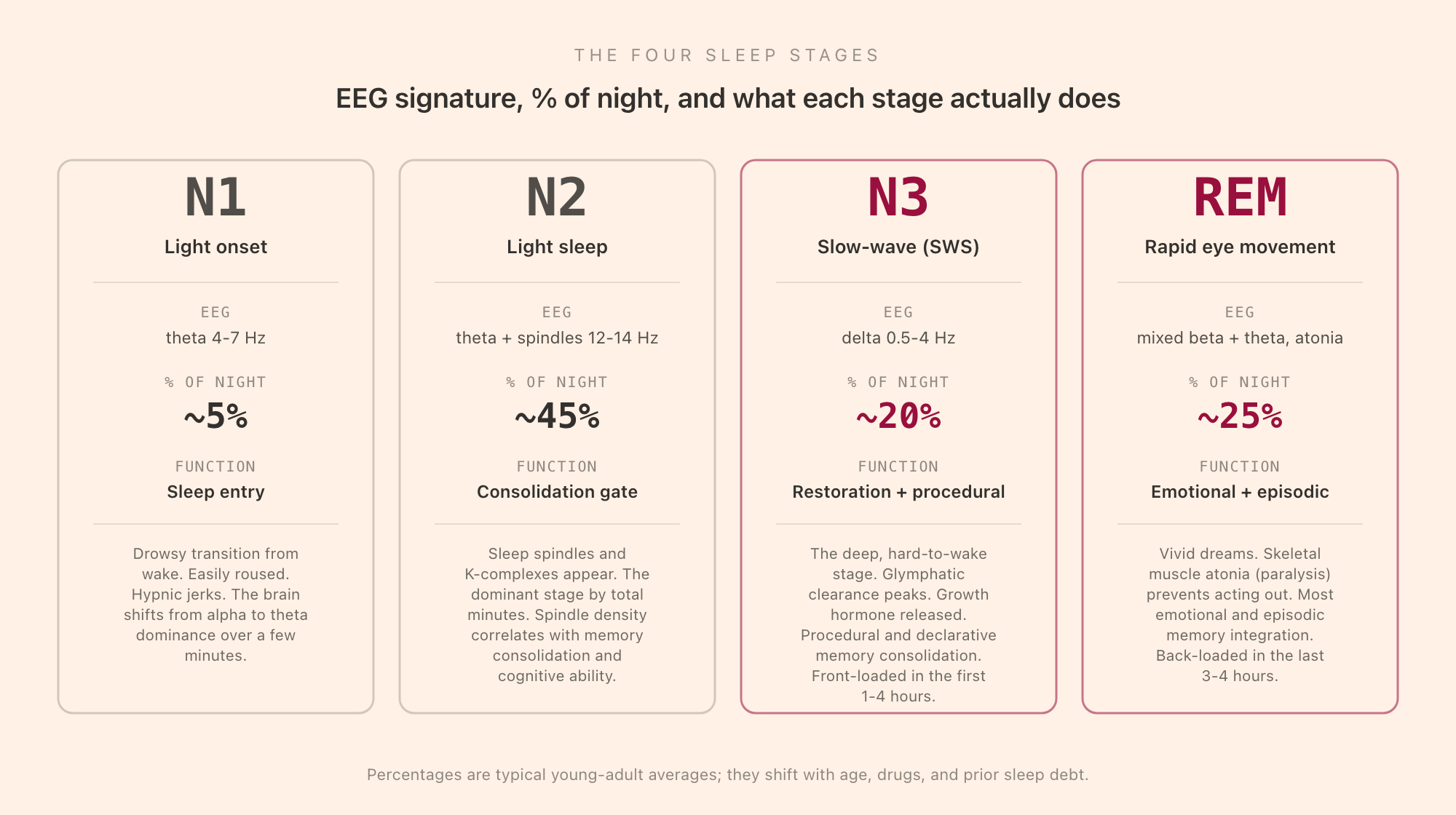 Four sleep stages grid: N1 (light onset, theta 4-7 Hz, ~5% of night, sleep entry); N2 (light sleep, theta plus spindles 12-14 Hz, ~45% of night, consolidation gate); N3 (slow-wave, delta 0.5-4 Hz, ~20% of night, restoration and procedural memory); REM (rapid eye movement, mixed beta plus theta with atonia, ~25% of night, emotional and episodic memory)
