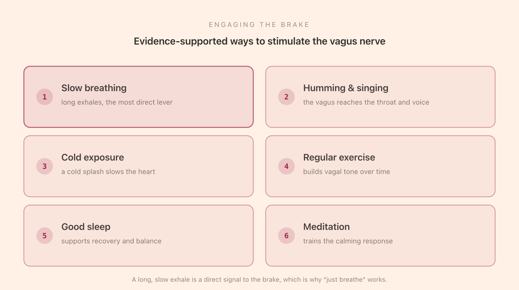 Evidence-supported ways to engage the vagus nerve: slow breathing with long exhales, humming or singing, cold exposure, regular exercise, and calming practices like meditation, all working to activate the parasympathetic brake