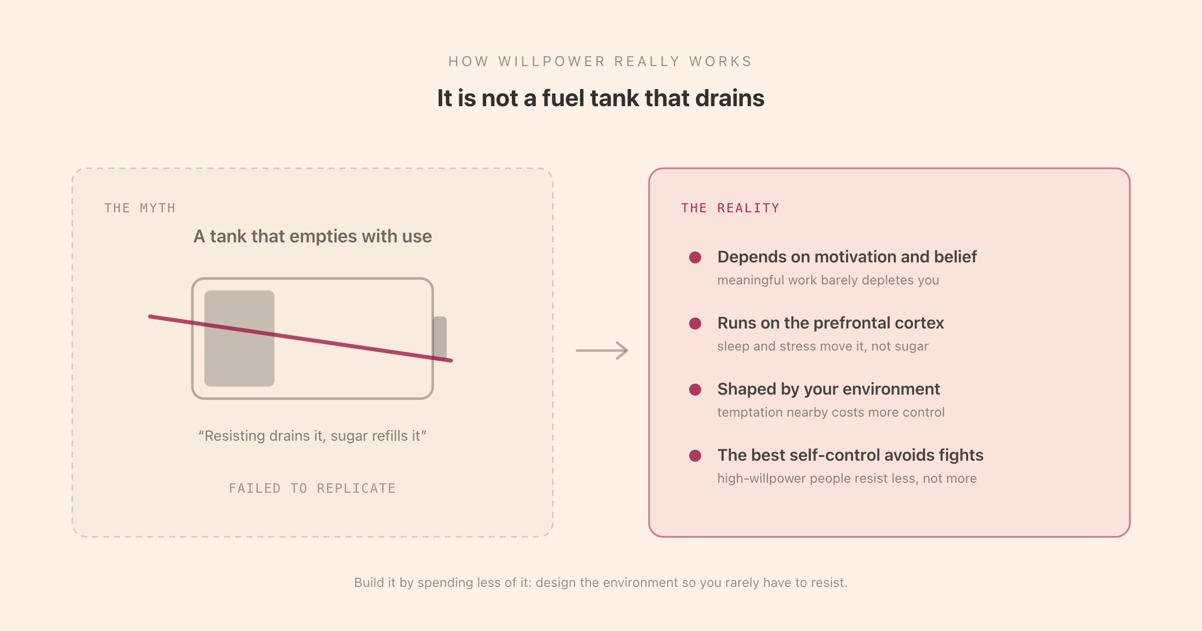 The willpower fuel-tank myth versus the reality: willpower is not a limited resource that drains, and the people with the best self-control avoid temptation rather than out-muscling it